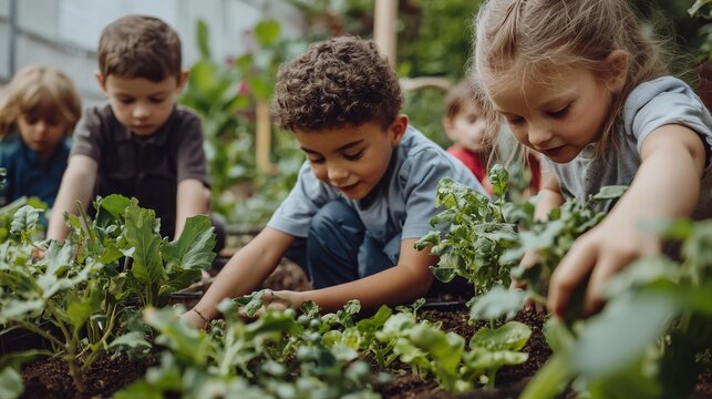 Children engaged in planting and tending to vegetables in a school garden, fostering hands-on learning and environmental awareness.