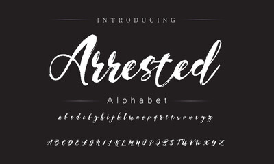 Vibrant Brush Typeface Style