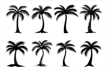 Detailed Highly Detailed Palm or coconut tree black art silhouette vector illustration set on white background