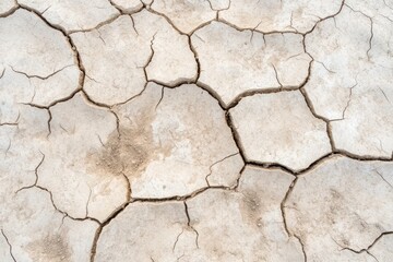 Fototapeta premium Cracked earth texture with dusty beige and brown shades.