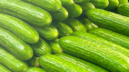 A bunch of green cucumbers are piled on top of each other. The cucumbers are fresh and ready to be eaten