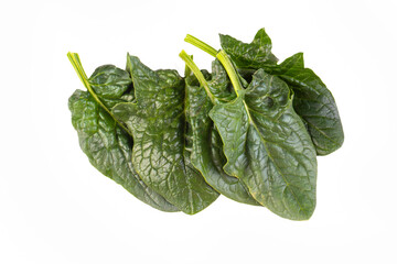 Fresh leaves of spinach, isolated on white background.