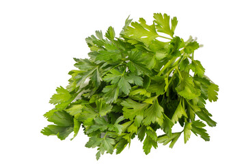 Green fresh parsley leaf isolated on white background