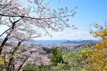 花見山公園からの眺め（福島県）
