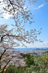 花見山公園からの眺め（福島県）