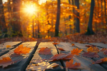 Autumn Table - Orange Leaves And Wooden Plank At Sunset In Forest
