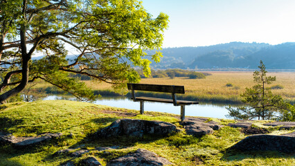 Bench on top of a hill thourgh a hiking trail over looking calm river with glowing trees during early autumn morning, Gothenburg Sweden