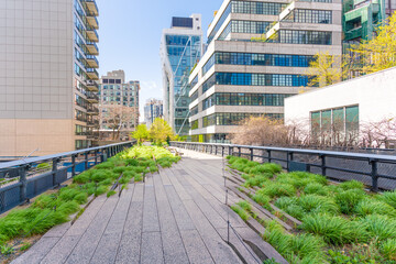 High Line urban park walkway in New York City