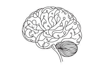Human brain one continuous line. vector graphics