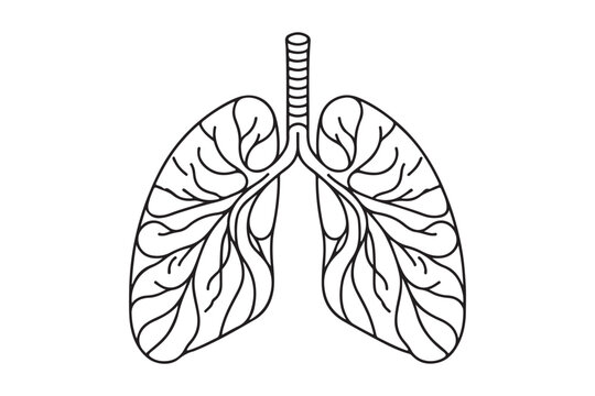 recommend clip art: Continuous one line drawing of human lungs. Medical interior concept continuous line art. vector illustration