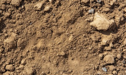 Close-up of brown dirt and rocks.