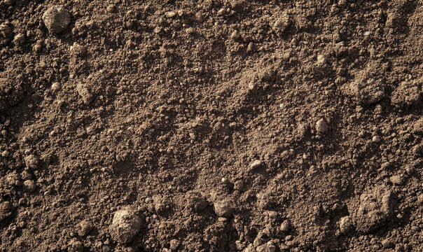 Close-up of brown, rough soil texture.
