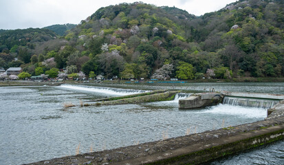 Fototapeta premium Uji river, Kyoto. Landscape in spring season, Japan