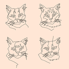 single line cat portrait