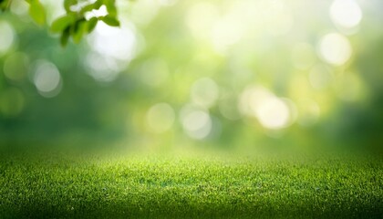 Obraz premium Blurred natural green background - bokeh glare.