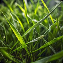 Obraz premium Young Plant Growing in Soil with Sunlight Shining