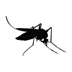 icon of mosquito, vector illustration isolated on white background.