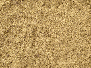 Natural Rice Husks in Sunlight Close-Up