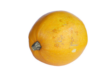 Yellow Spaghetti squash fresh without background. High contrast pumpkin.