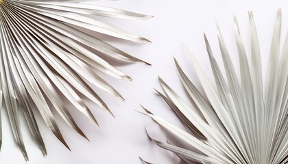 Palm leaves on a white background