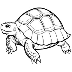 Smoothly Curved Tortoise  A Line Art Vector Emphasizing Steadiness