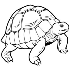 Smoothly Curved Tortoise  A Line Art Vector Emphasizing Steadiness