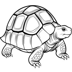 Smoothly Curved Tortoise  A Line Art Vector Emphasizing Steadiness