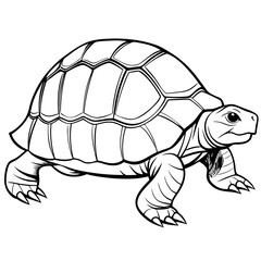 Smoothly Curved Tortoise  A Line Art Vector Emphasizing Steadiness