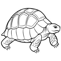 Smoothly Curved Tortoise  A Line Art Vector Emphasizing Steadiness