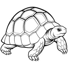 Smoothly Curved Tortoise  A Line Art Vector Emphasizing Steadiness