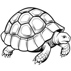 Smoothly Curved Tortoise  A Line Art Vector Emphasizing Steadiness