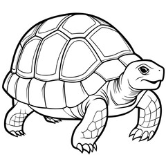 Smoothly Curved Tortoise  A Line Art Vector Emphasizing Steadiness