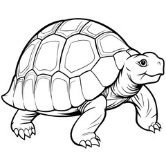 Smoothly Curved Tortoise  A Line Art Vector Emphasizing Steadiness
