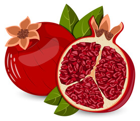 Whole and Halved Pomegranate with Leaves Vector Illustration