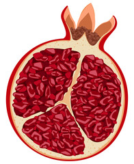 Half Pomegranate with Seeds Front View Vector Illustration