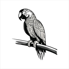 macaw bird mascot illustration logo concept design © Jagone Mas Zan