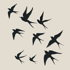 a group of nine birds flying in a random pattern. The birds are black and are silhouetted against a white background