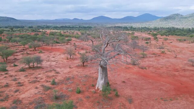 Aerial view video shows serene Lake Natron with mountains, Tanzania