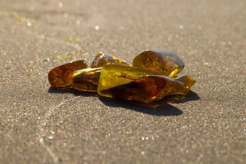 Natural, polished Baltic amber on a sandy beach in Kołobrzeg, Poland.