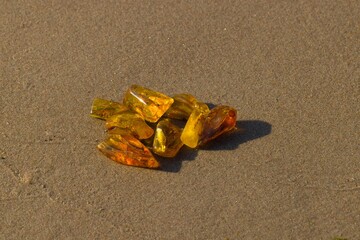 Natural, polished Baltic amber on a sandy beach in Kołobrzeg, Poland.
