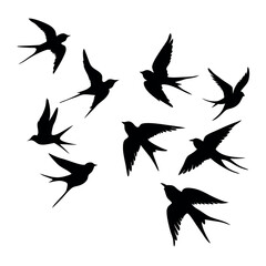 Fototapeta premium a group of nine birds flying in a random pattern. The birds are black and are silhouetted against a white background