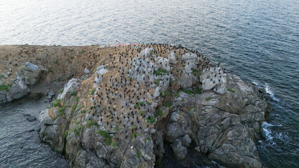 Aerial view of&nbsp;Avsa island, Turkey. Avsa Island view from sea in Turkey.