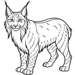 Elegant Lynx Minimalist Line Art of a Tufted-Eared Beauty