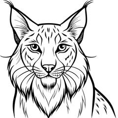 Elegant Lynx Minimalist Line Art of a Tufted-Eared Beauty