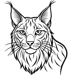 Elegant Lynx Minimalist Line Art of a Tufted-Eared Beauty