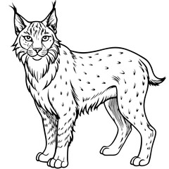 Elegant Lynx Minimalist Line Art of a Tufted-Eared Beauty