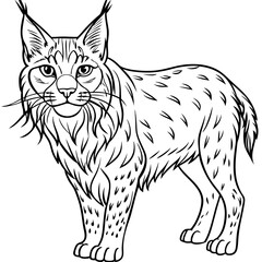 Elegant Lynx Minimalist Line Art of a Tufted-Eared Beauty