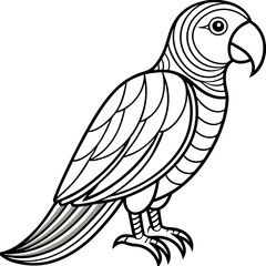 Colorful Parrot Elegant Black Line Art with Curved Feathers
