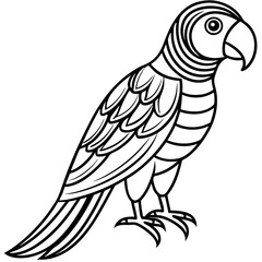 Colorful Parrot Elegant Black Line Art with Curved Feathers