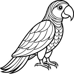 Fototapeta premium Colorful Parrot Elegant Black Line Art with Curved Feathers
